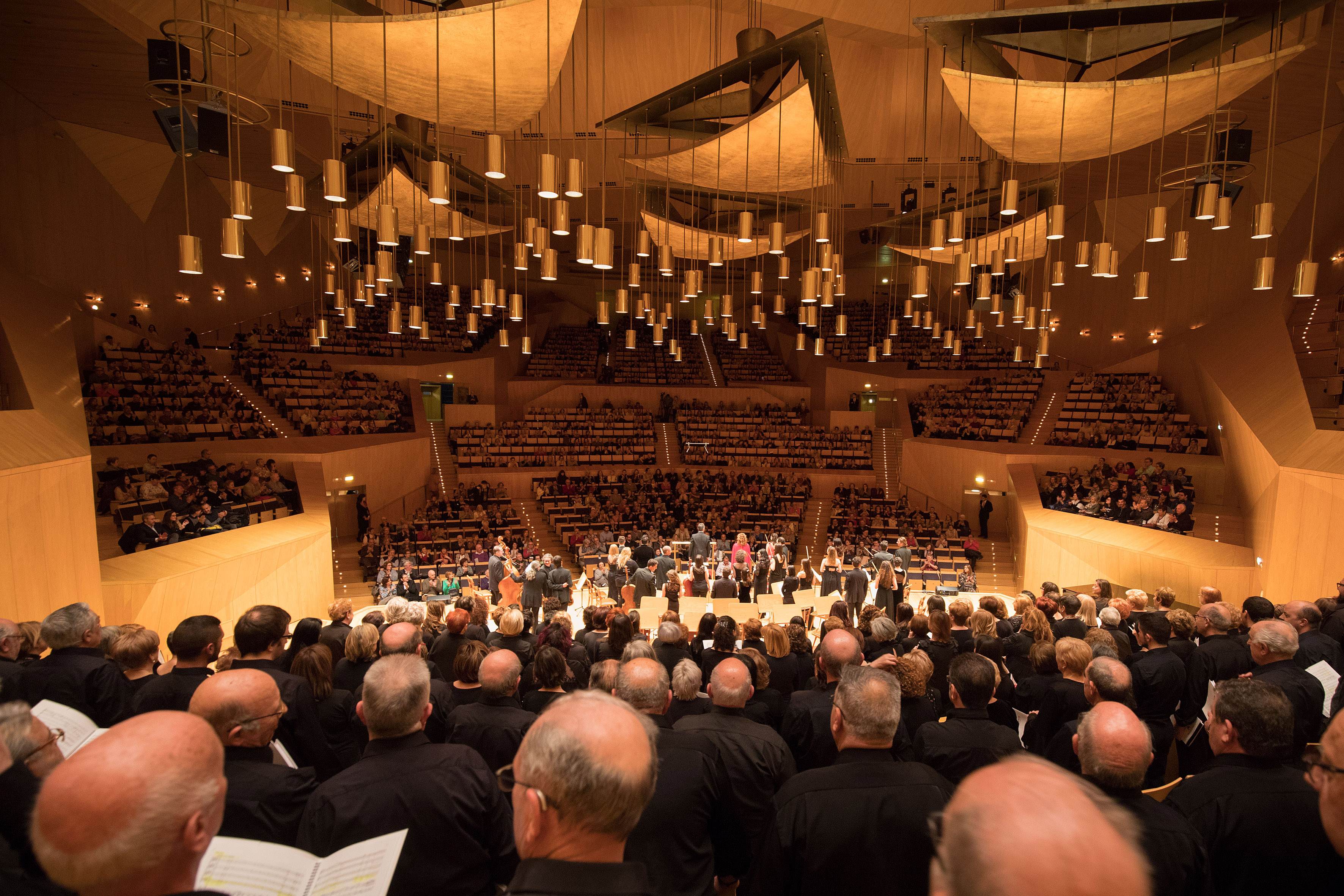 023_Misa_Coronación_ZGZ_Orquesta_ReinodeAragón_fotoJavierBroto.JPG