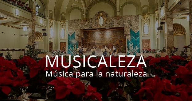 MUSICALEZA