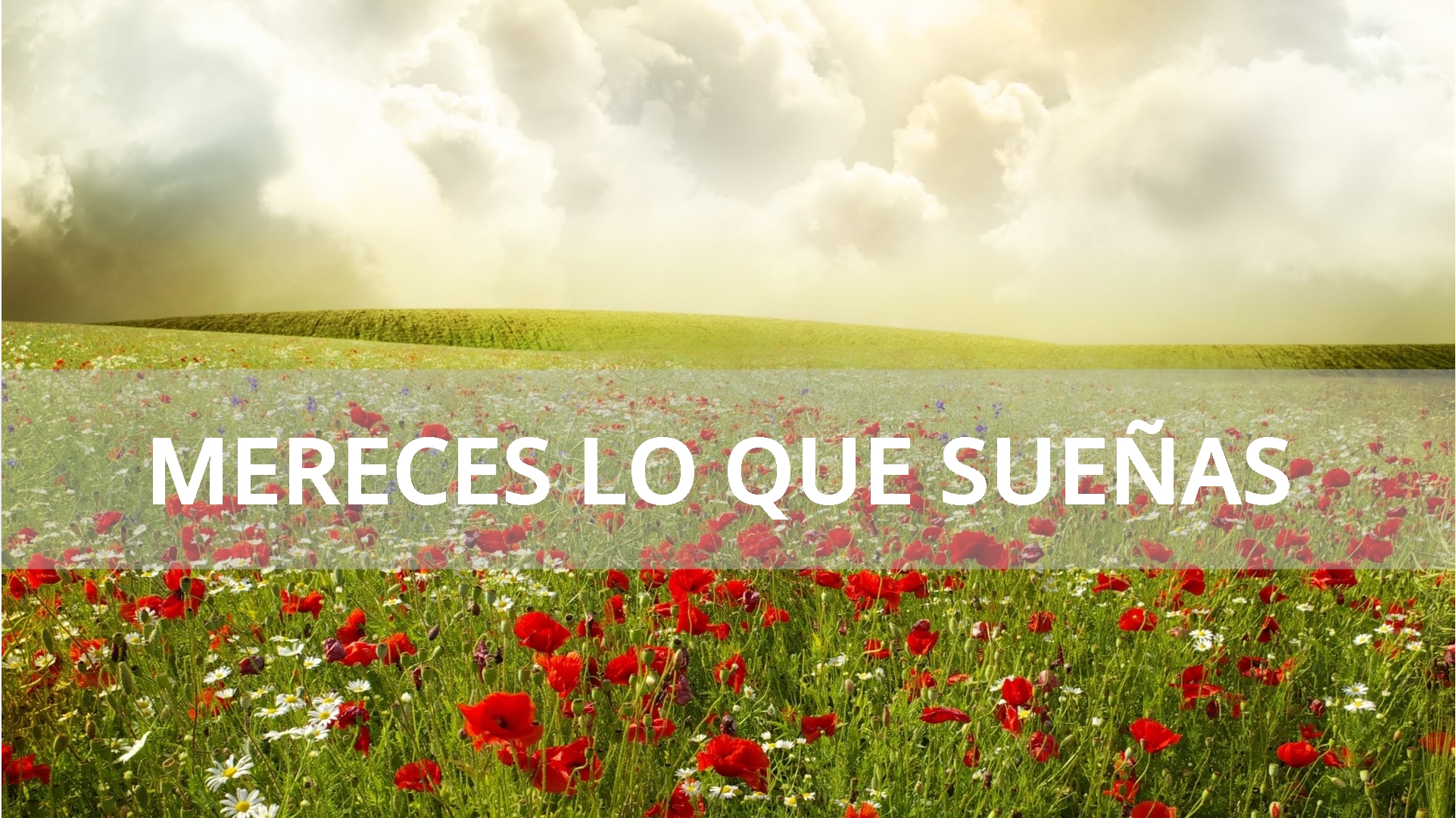 Emoción Multiexperiencia